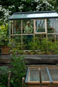 skydd i ett växthus från en storm