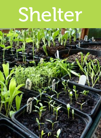 ett växthus är ett utmärkt skydd